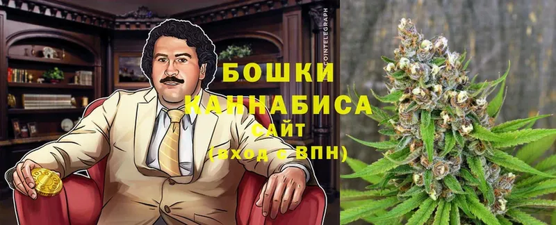 Бошки марихуана THC 21%  кракен ONION  Новозыбков 